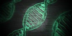 厦门专业助孕机构盘点_厦门十大助孕机构数据更新