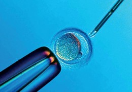 泰国第三代试管哪家好？2026最新攻略：服务、费用、成功率全解析_1